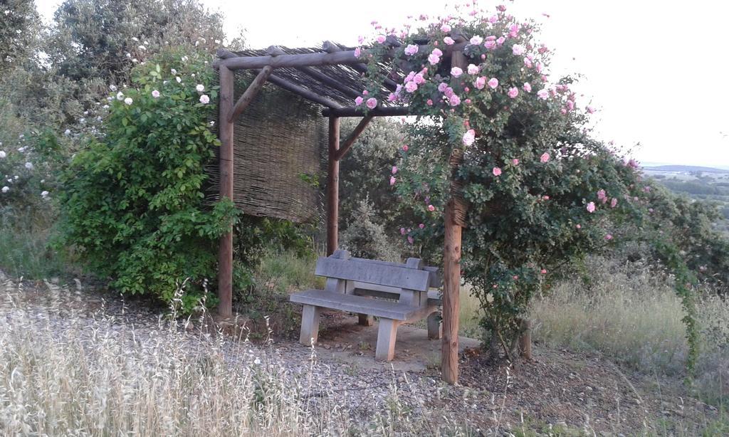 Holiday Home Monte Das Azinheiras Arraiolos Habitación foto