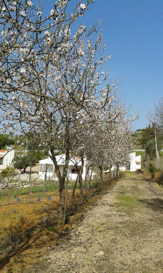 Holiday Home Monte Das Azinheiras Arraiolos Exterior foto